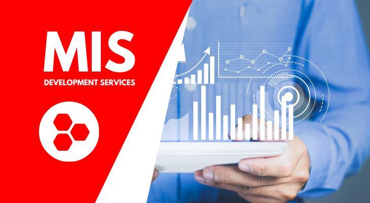 MIS Development Services